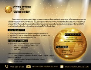 Driving Synergy with Global Mindset P2